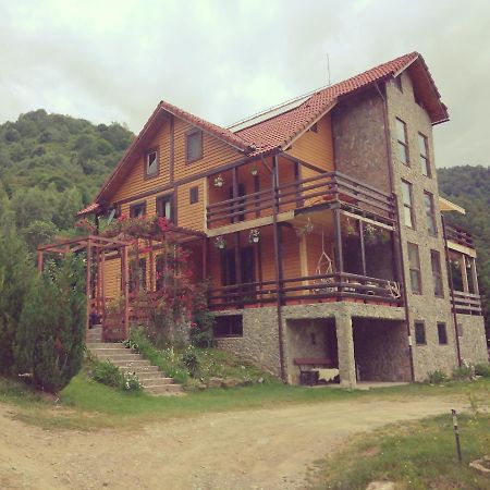 Cabana Soarelui Retezat Nucsoara  Exterior foto