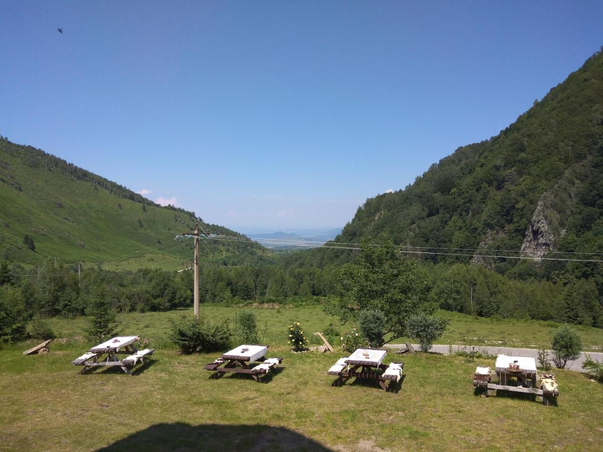 Cabana Soarelui Retezat Nucsoara  Exterior foto